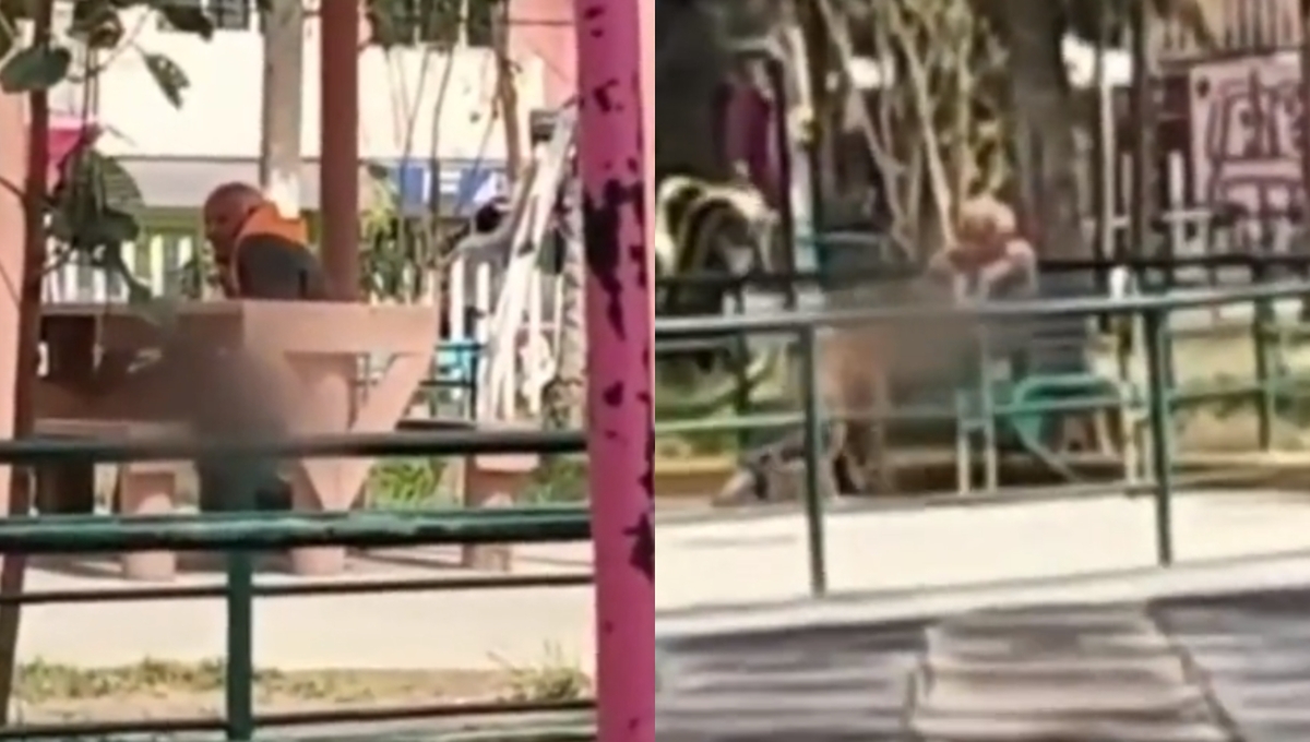 El abuelito llega al parque apoyado de una andadera y abusa de los perros callejeros
