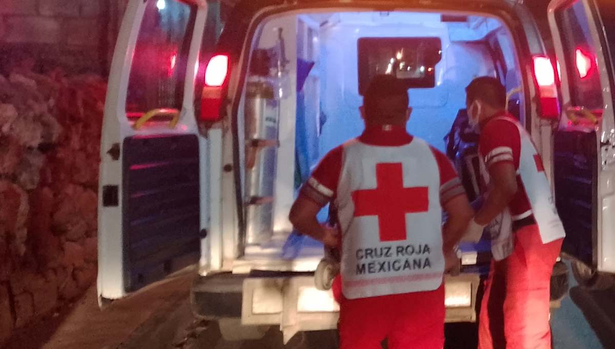 Trascendió que el animal que provocó este accidente perdió la vida por el fuerte impacto