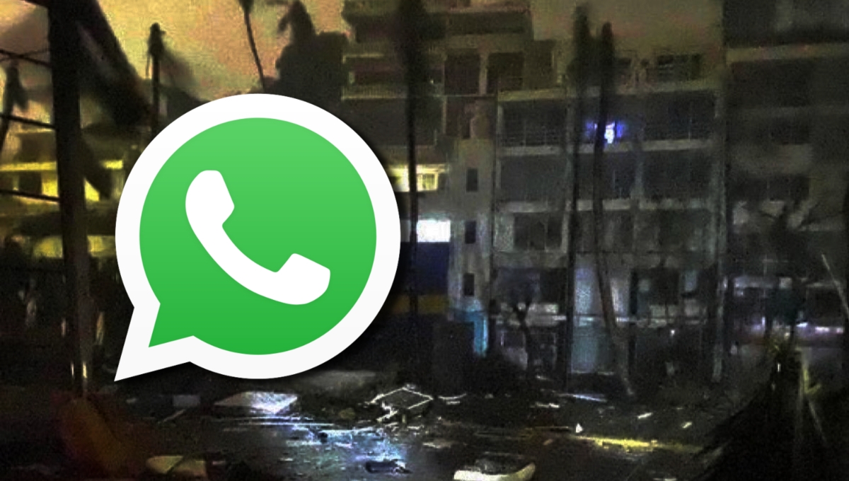 Los grupos son dependiendo de cada zona con personas desaparecidas