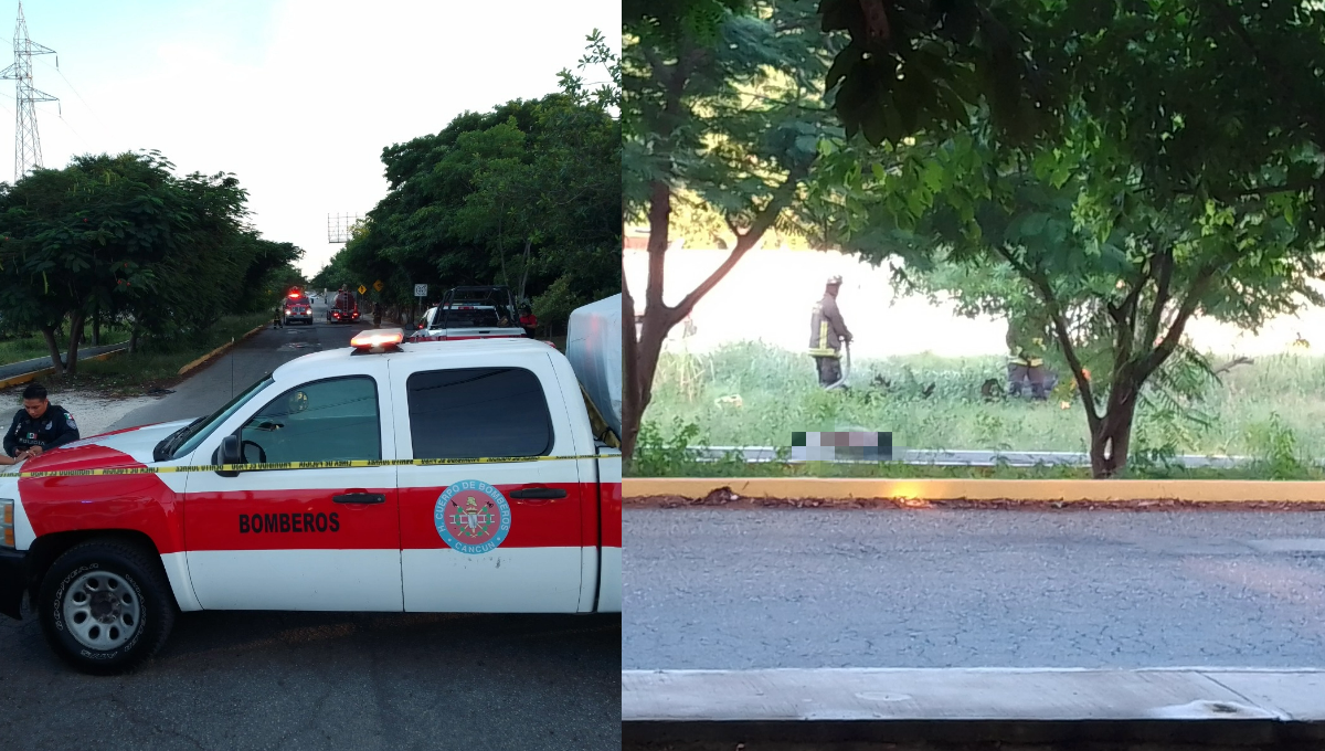 Abejas seguían agresivas pese a la intervención de los bomberos