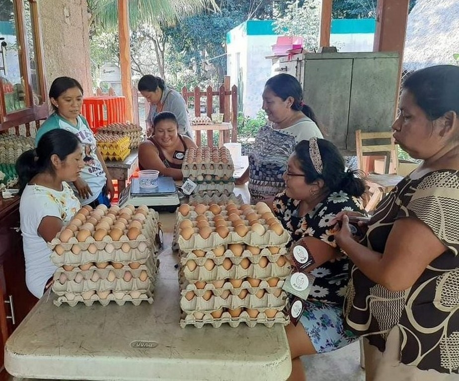 Parte del producto se comercializa en los negocios de la cabecera municipal y lo demás se envía a restaurantes de Bacalar Parte del producto se comercializa en los negocios de la cabecera municipal y lo demás se envía a restaurantes de Bacalar