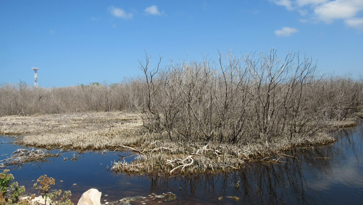 Autoridades correspondientes para tomar consciencia del estado actual de la reserva de la biosfera