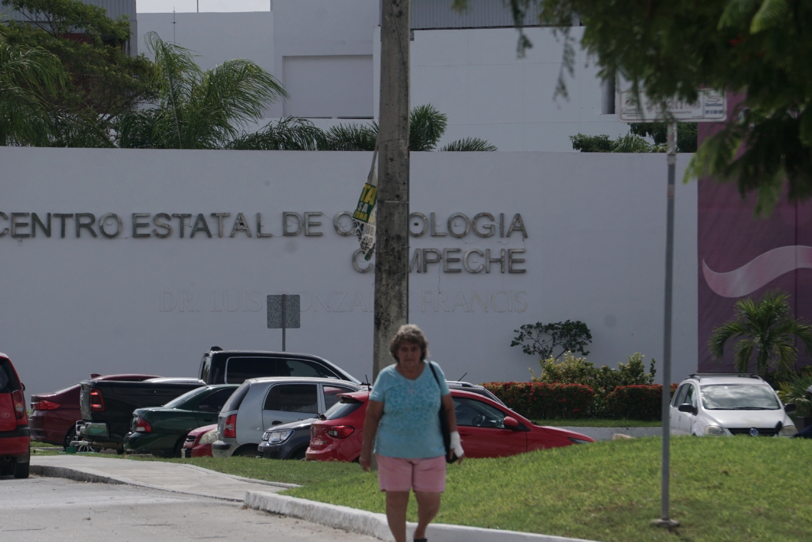 Se procurará tener los quimioterapéuticos, los requeridos por los pacientes pediátricos Se procurará tener los quimioterapéuticos, los requeridos por los pacientes pediátricos