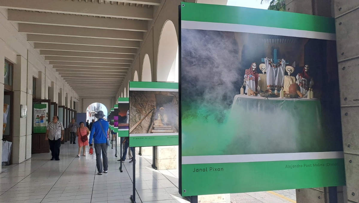 Cada fotografía tiene un nombre que describe el contexto de lo que muestra