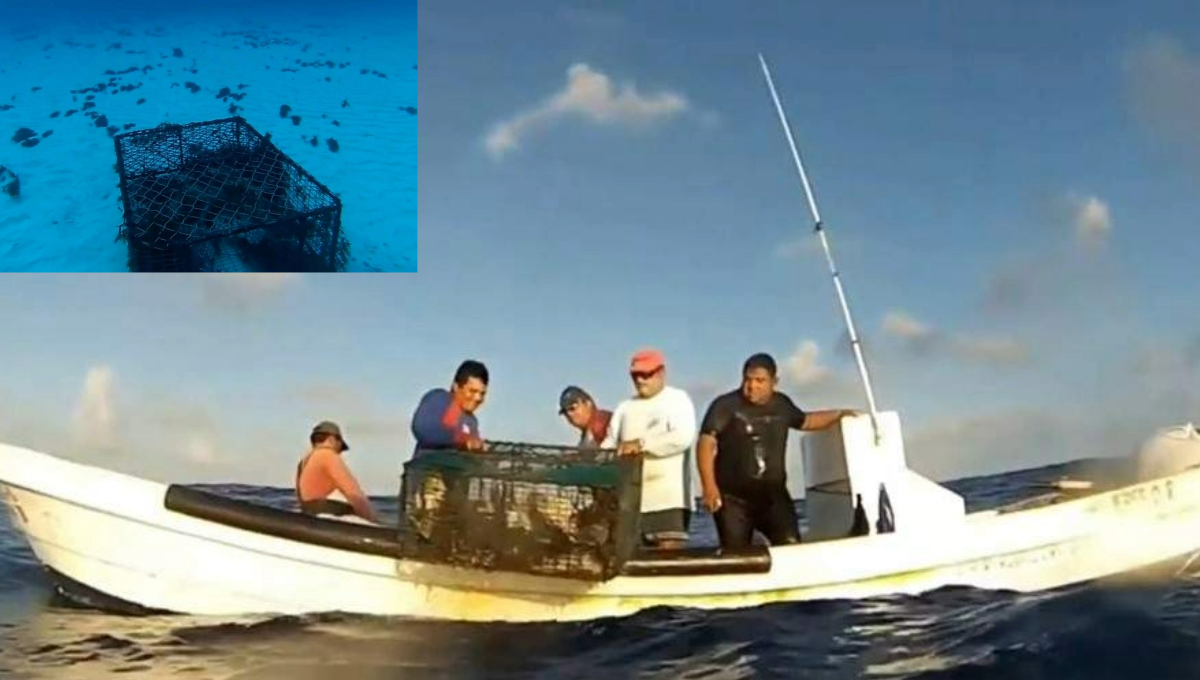 Las condiciones climáticas adversas favorecen la actividad pesquera, al mover la langosta en el lecho marino