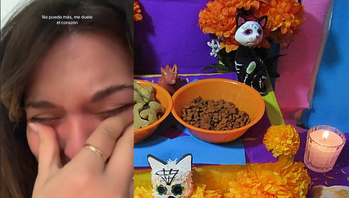 Española rompe en llanto por ver tantas ofrendas para mascotas en TikTok