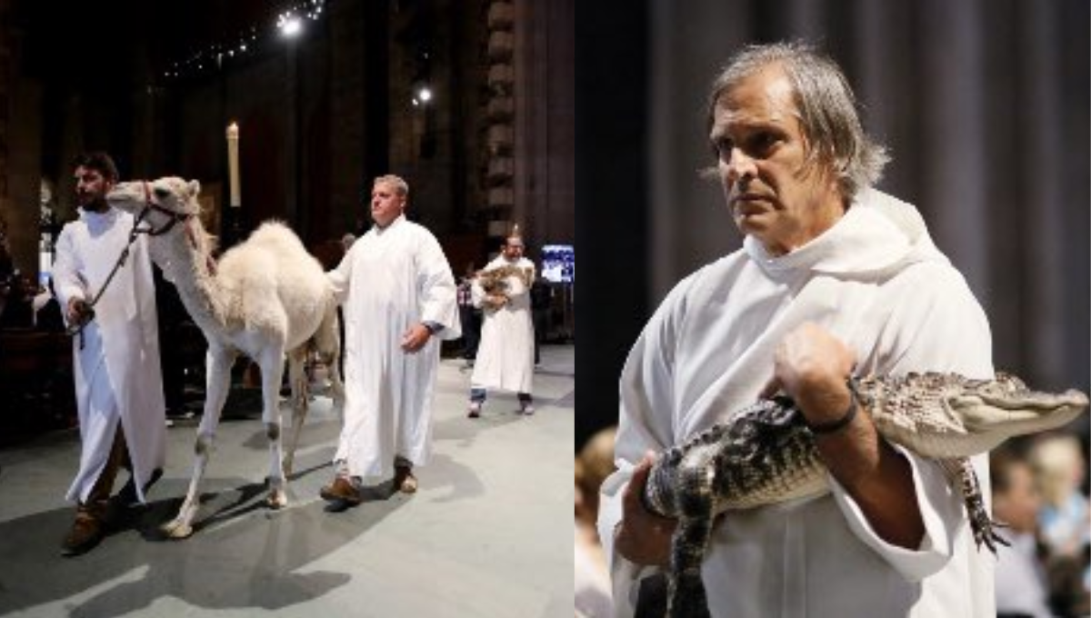 Los animales se dieron cita en el templo para la misa. Foto: Especial