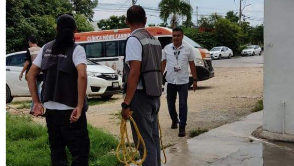 Acusan vecinos que trabajadores no cumplieron con los protocolos