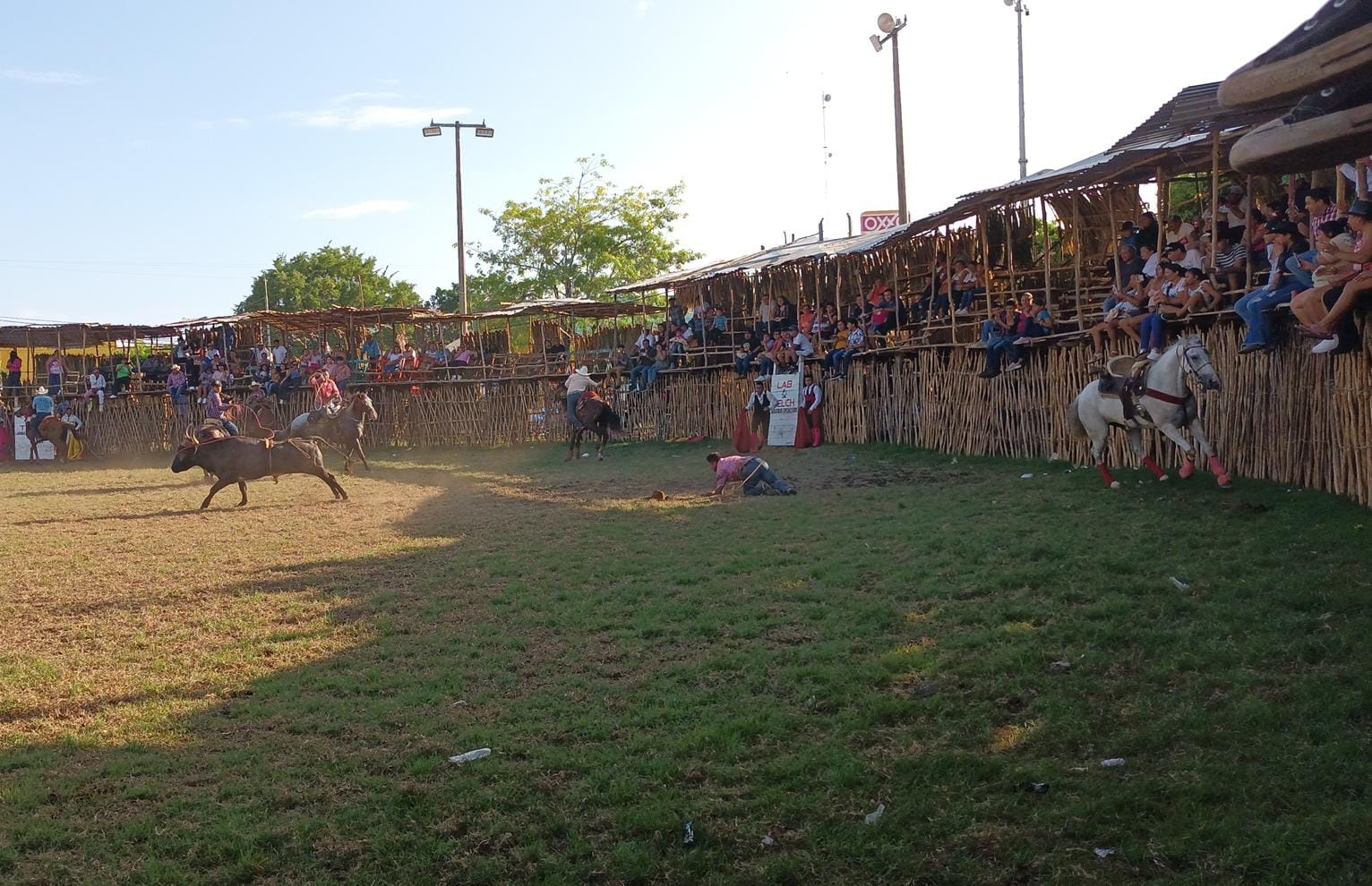 Caballo muerde a un comerciante durante una corrida de toros en Telchac Pueblo