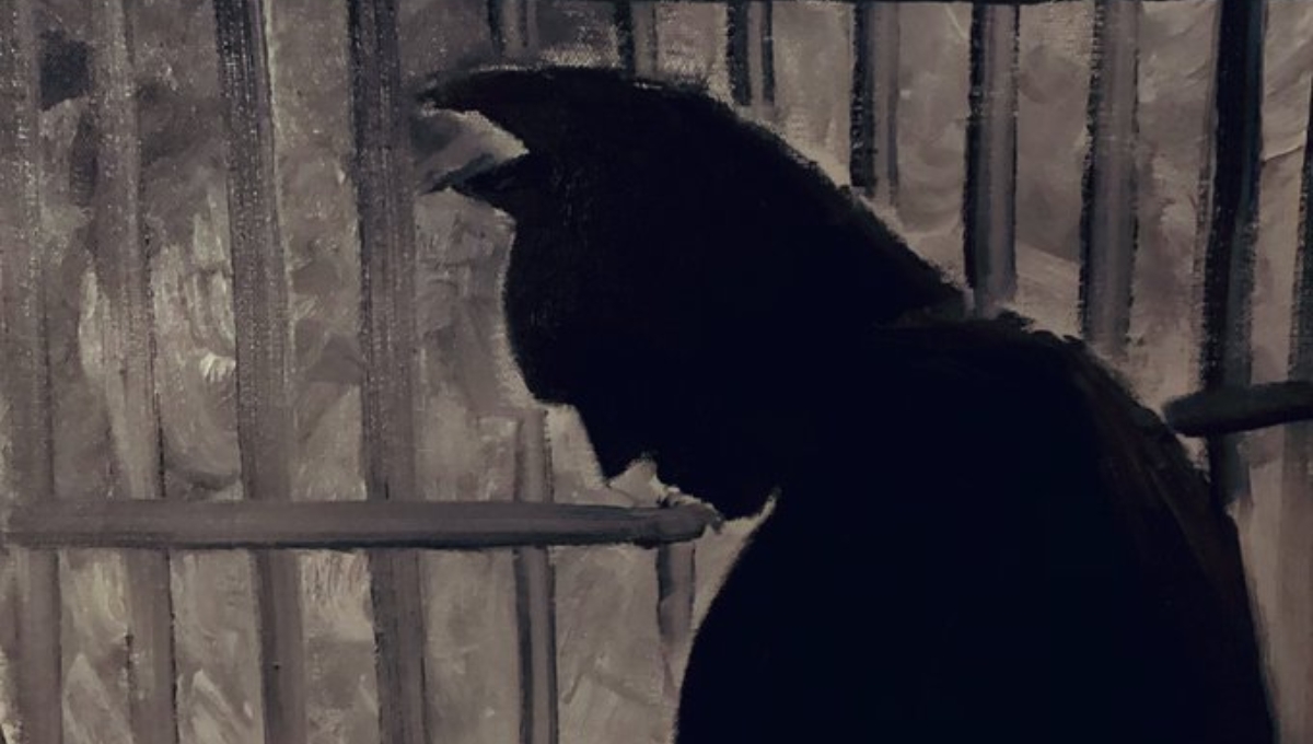 Jóvenes que organizaron pelea disfrazados de Batman están libres tras un año en prisión