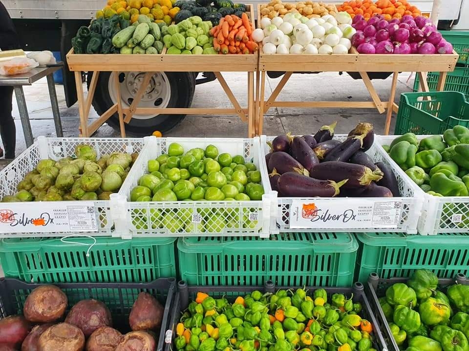Proveedores de frutas y verduras, los más afectados Proveedores de frutas y verduras, los más afectados