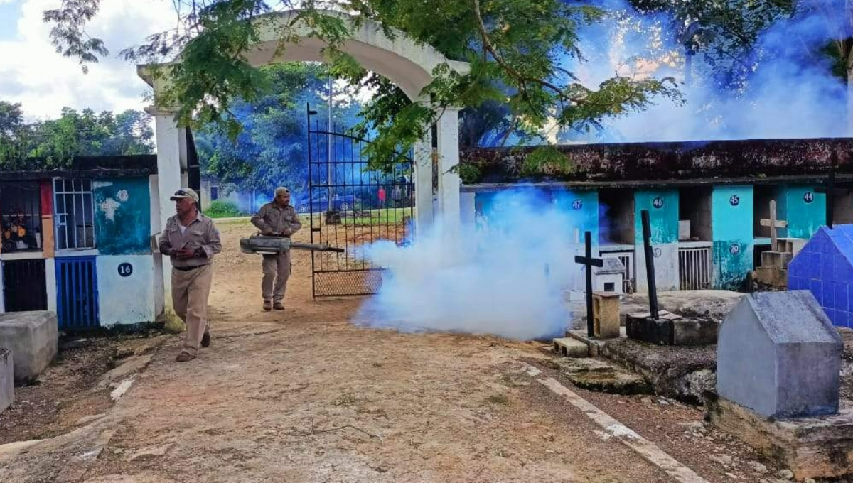 Bajo el riesgo del dengue, se sanearán 16 cementerios antes de la festividad de los fieles difuntos