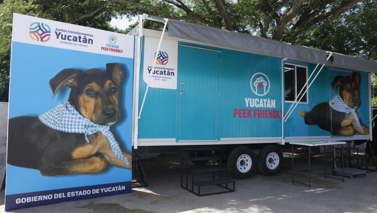 Antes era menos visible la cultura de la tenencia responsable y eran pocos los que esterilizaban a sus mascotas Antes era menos visible la cultura de la tenencia responsable y eran pocos los que esterilizaban a sus mascotas