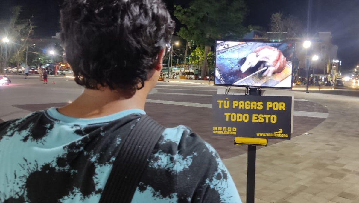 En la pantalla se transmitieron videos sobre el asesinato de animales En la pantalla se transmitieron videos sobre el asesinato de animales