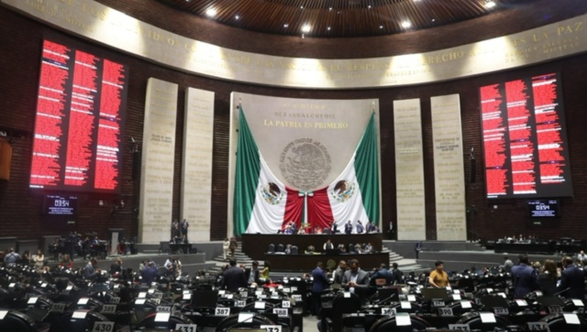 Prevén recorte de presupuesto para órganos como el INE y el Poder Judicial
Prevén recorte de presupuesto para órganos como el INE y el Poder Judicial