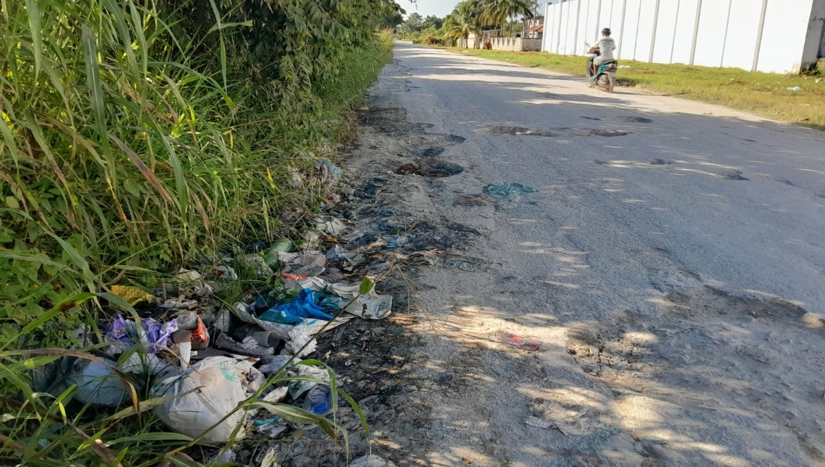 Los vecinos piden sanción monetaria para quienes sean sorprendidos, así como que los pongan a limpiar