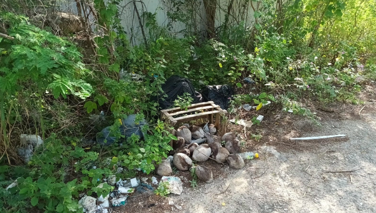 Los colonos de la zona señalaron que desconocen a quién le pertenece el predio