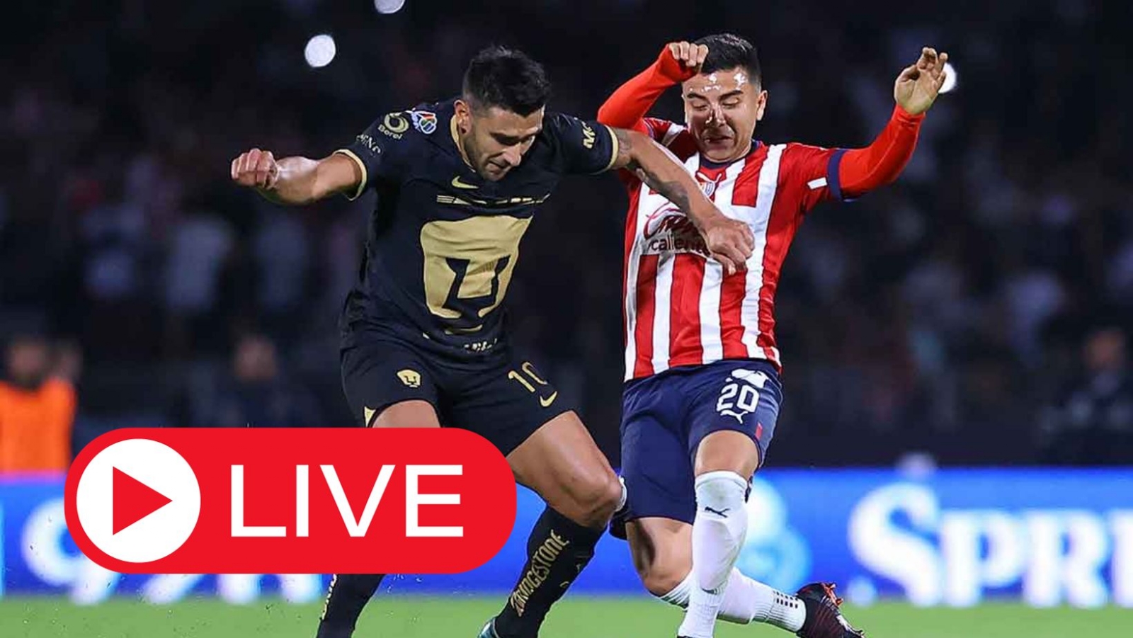 Ver en vivo Pumas vs Chivas hoy sábado 11 de noviembre de 2023