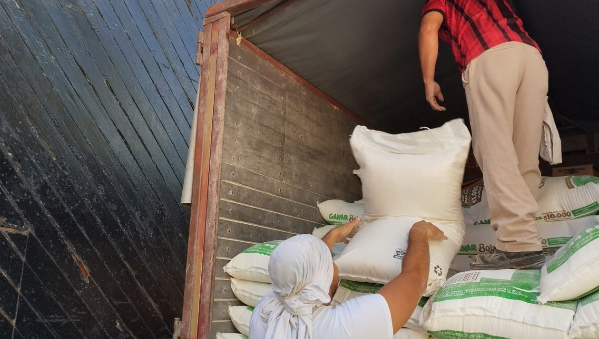 Los productores dijeron que hay temor, ya que actualmente compran costales de harina que cuestan 900 pesos Los productores dijeron que hay temor, ya que actualmente compran costales de harina que cuestan 900 pesos