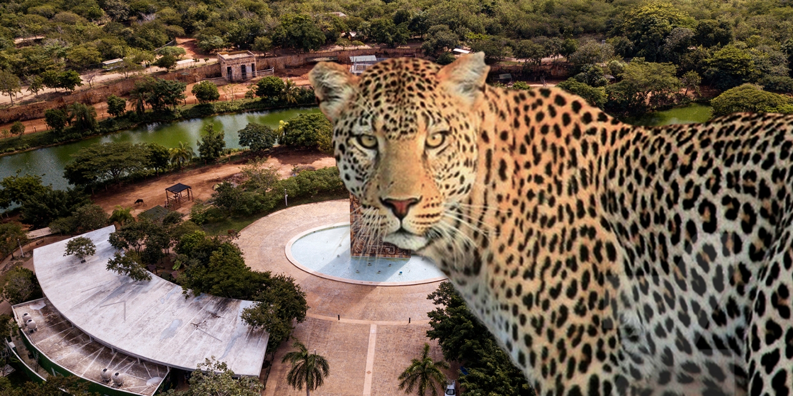 Se prevé que el felinario de Animaya sea inaugurado en abril de 2024 Se prevé que el felinario de Animaya sea inaugurado en abril de 2024