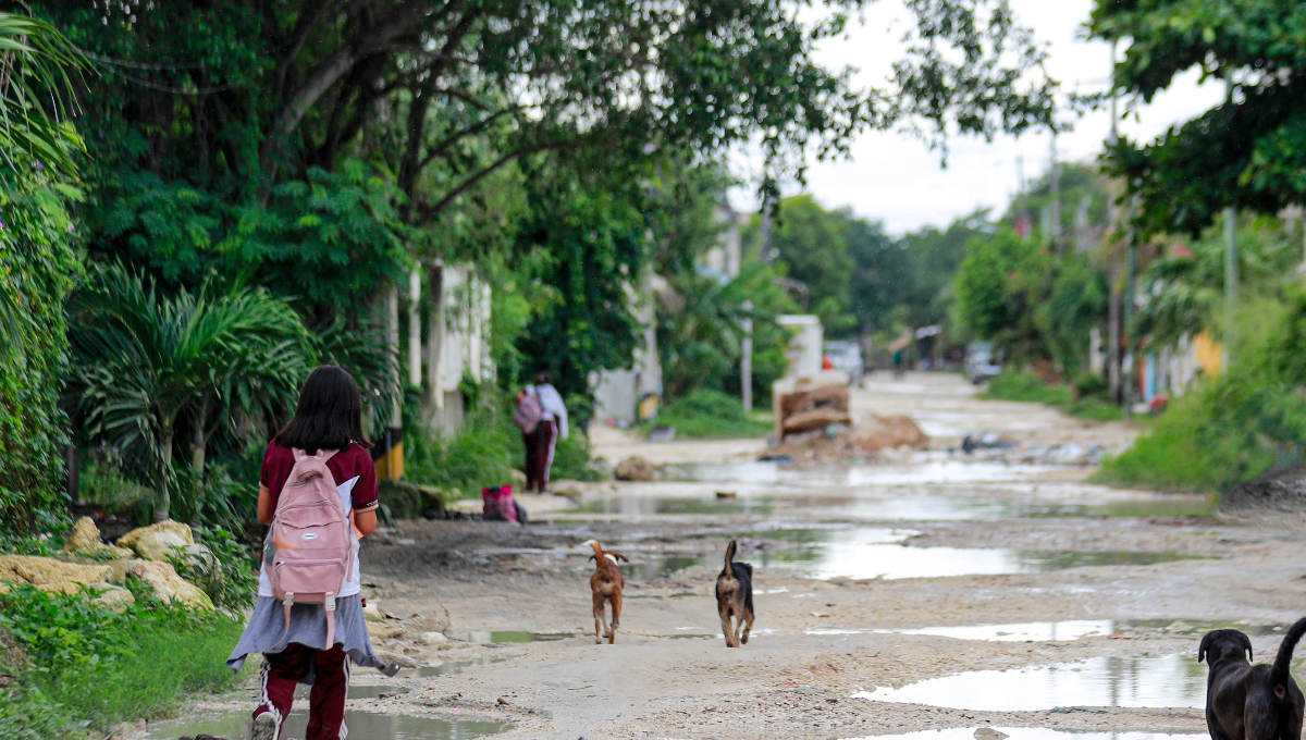 Colonias irregulares viven 'en las faldas' del antiguo relleno sanitario de Cancún