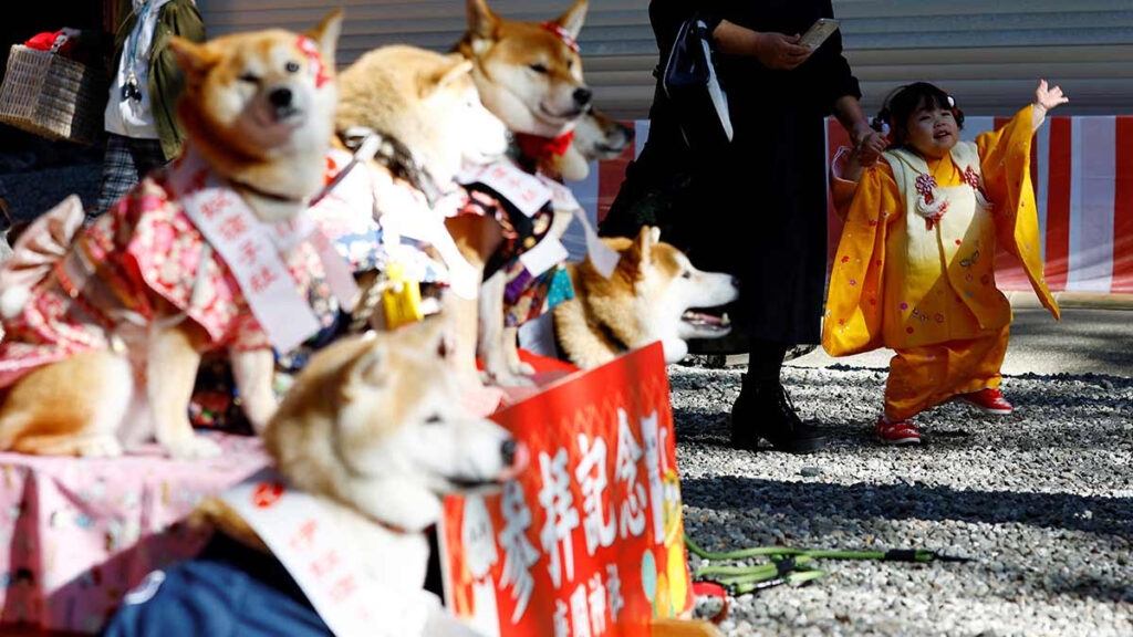 Las cosas en Japón siguen con una tasa de natalidad en picada. Foto: Especial Las cosas en Japón siguen con una tasa de natalidad en picada. Foto: Especial