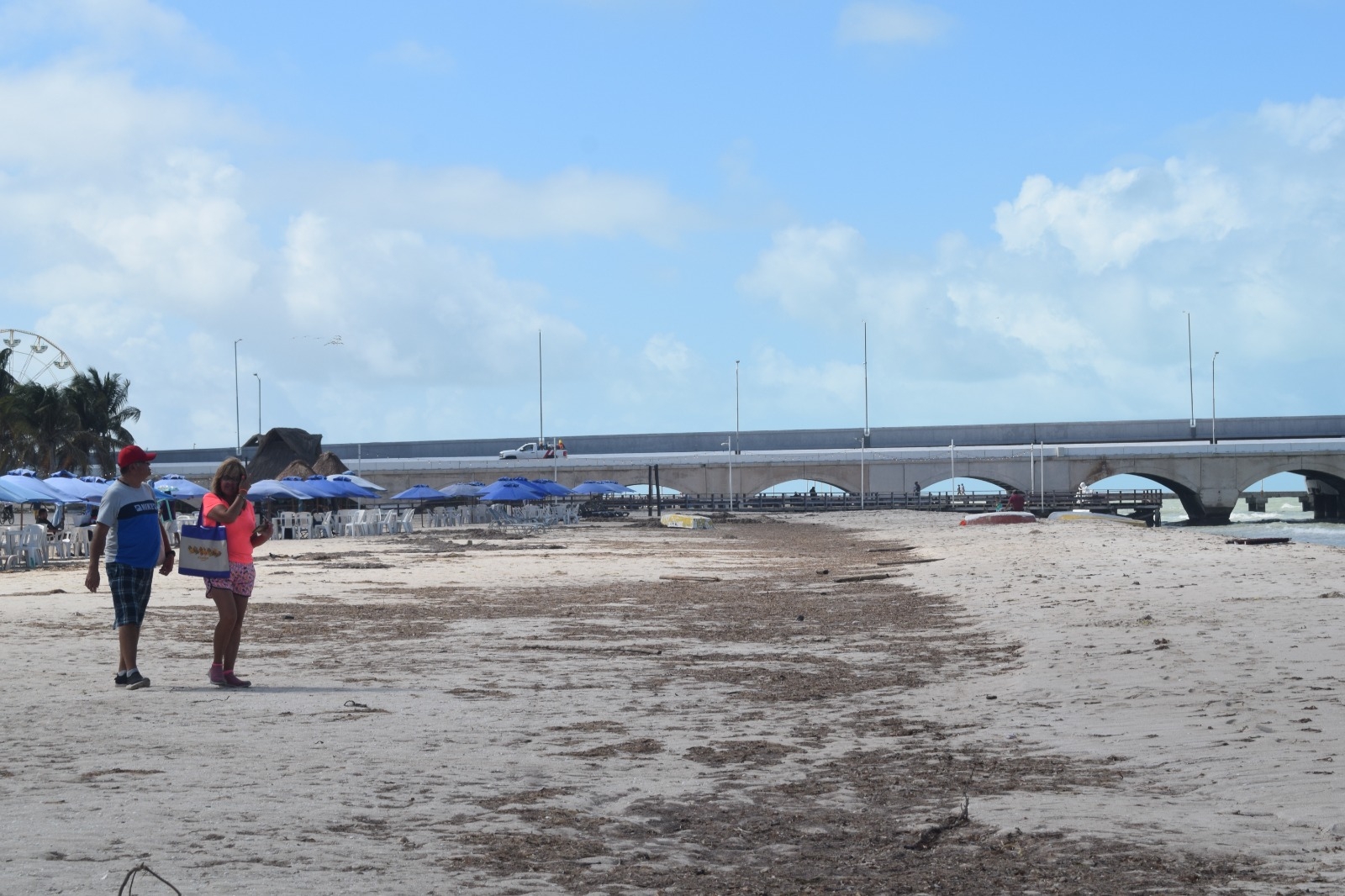 ¿Sargazo en el Caribe afectará a Yucatán en Verano 2025? Todo lo que se sabe   