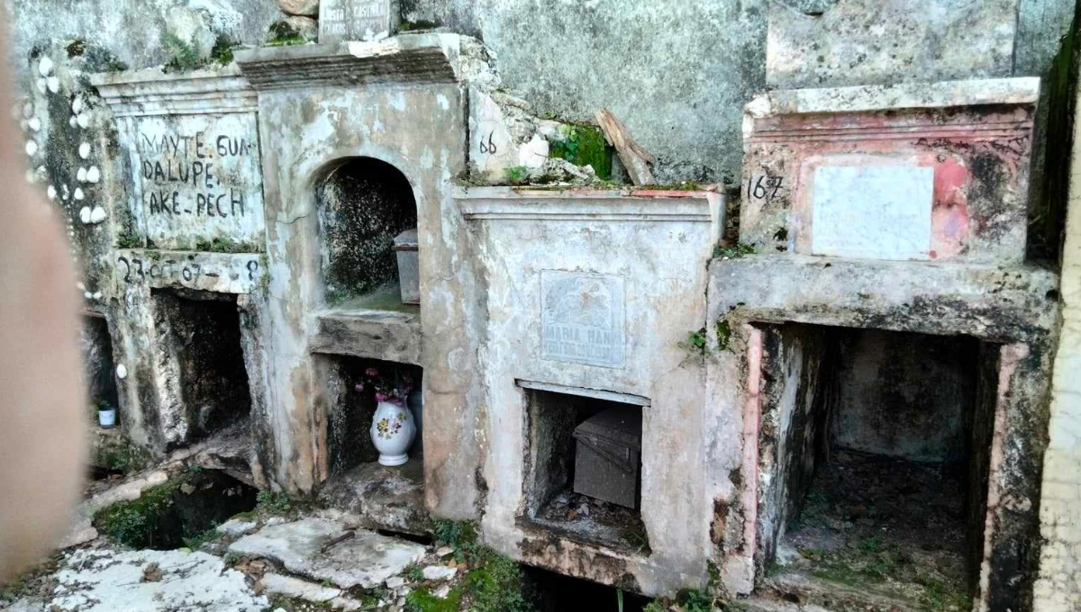 Indicaron que muchas bóvedas no recibieron visitas, a pesar de que en algunas incluso hay huesos a la intemperie Indicaron que muchas bóvedas no recibieron visitas, a pesar de que en algunas incluso hay huesos a la intemperie