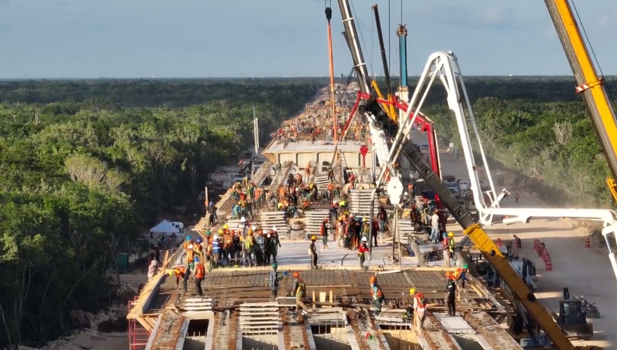 De esto puedes trabajar en el Tren Maya en Palenque