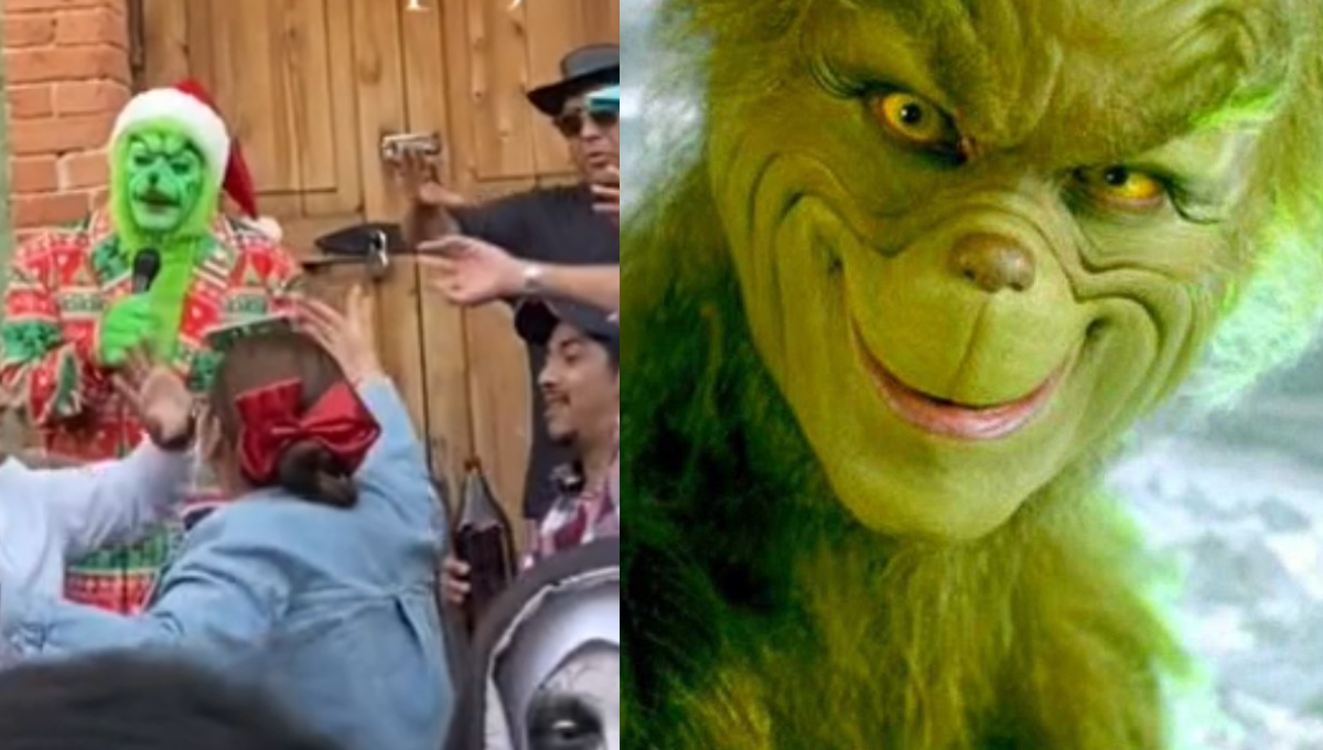 El personaje se caracteriza por ser un monstruo de color verde que realizó varios intentos para acabar con la navidad