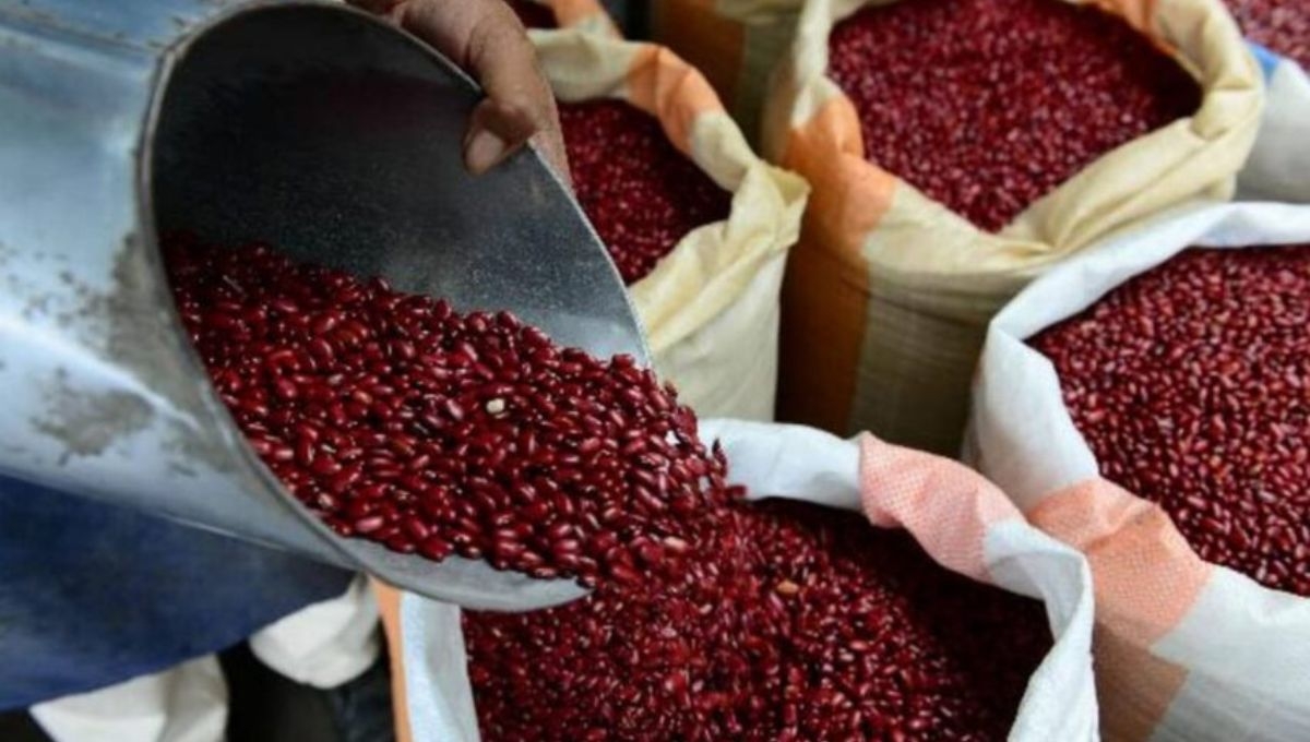 La Secretaría de Agricultura informó que habrá un aumento en el precio de garantía del frijol La Secretaría de Agricultura informó que habrá un aumento en el precio de garantía del frijol