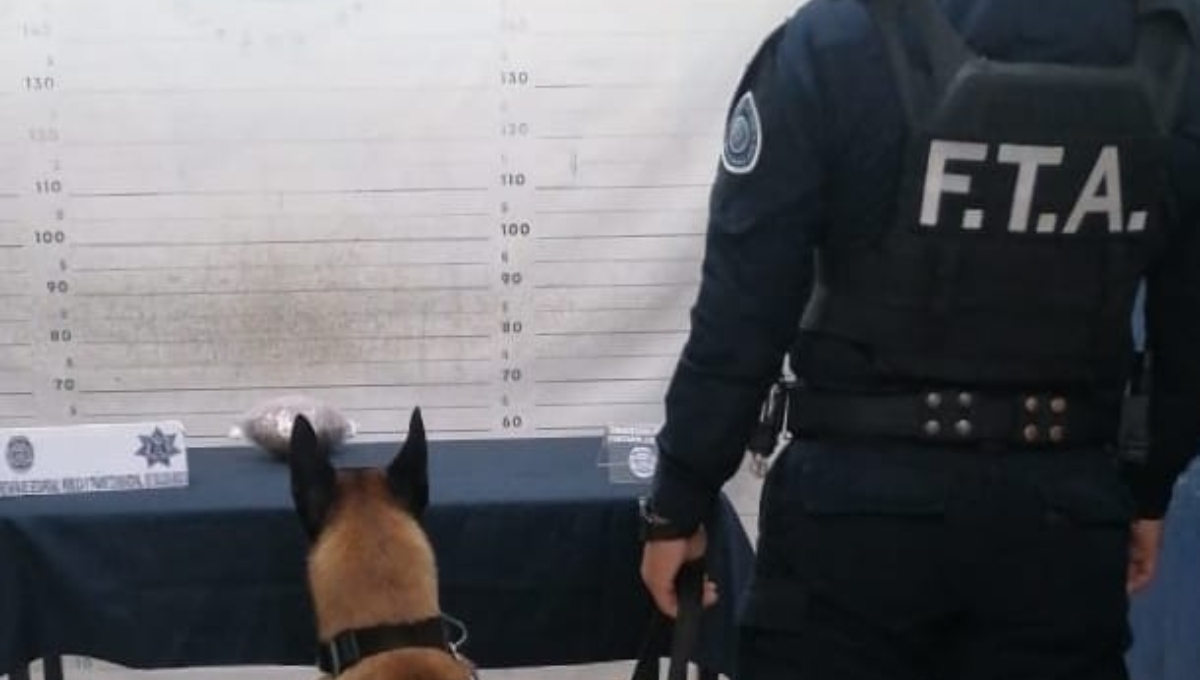 El paquete fue entregado a la Fiscalía de Quintana Roo