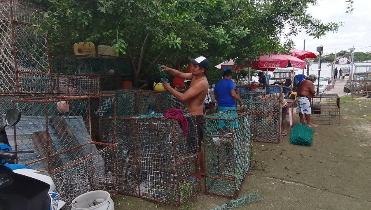 Están obligados a usar redes remendadas, trampas antiguas y no han podido renovar sus chozas del campamento de Contoy.