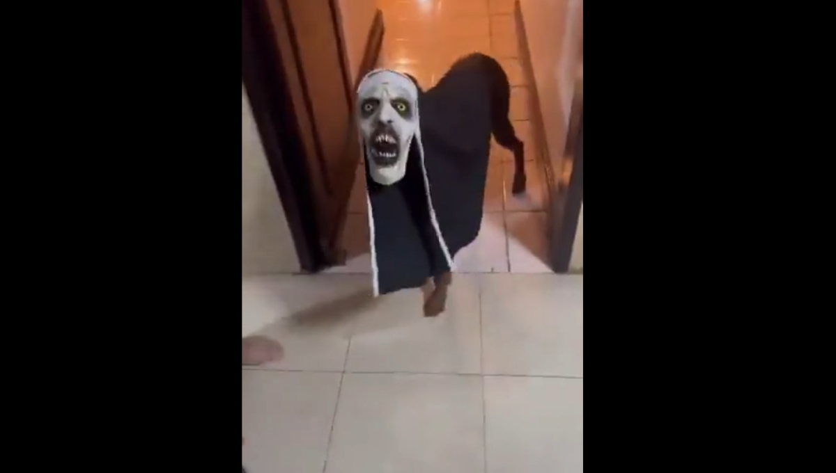 ¿El perro monja existe? Aquí una prueba de ello: VIDEO