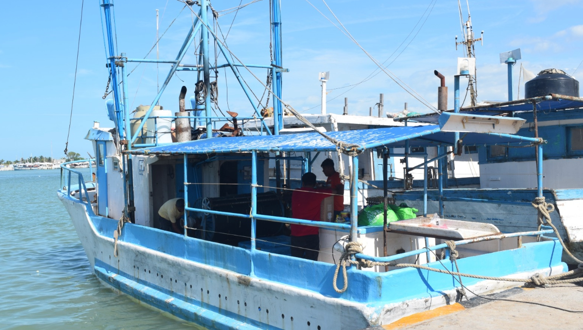Los pescadores reciben un pago de 35 pesos por kilo, cuando en la temporada pasada lo vendían a sus patrones en 50 pesos