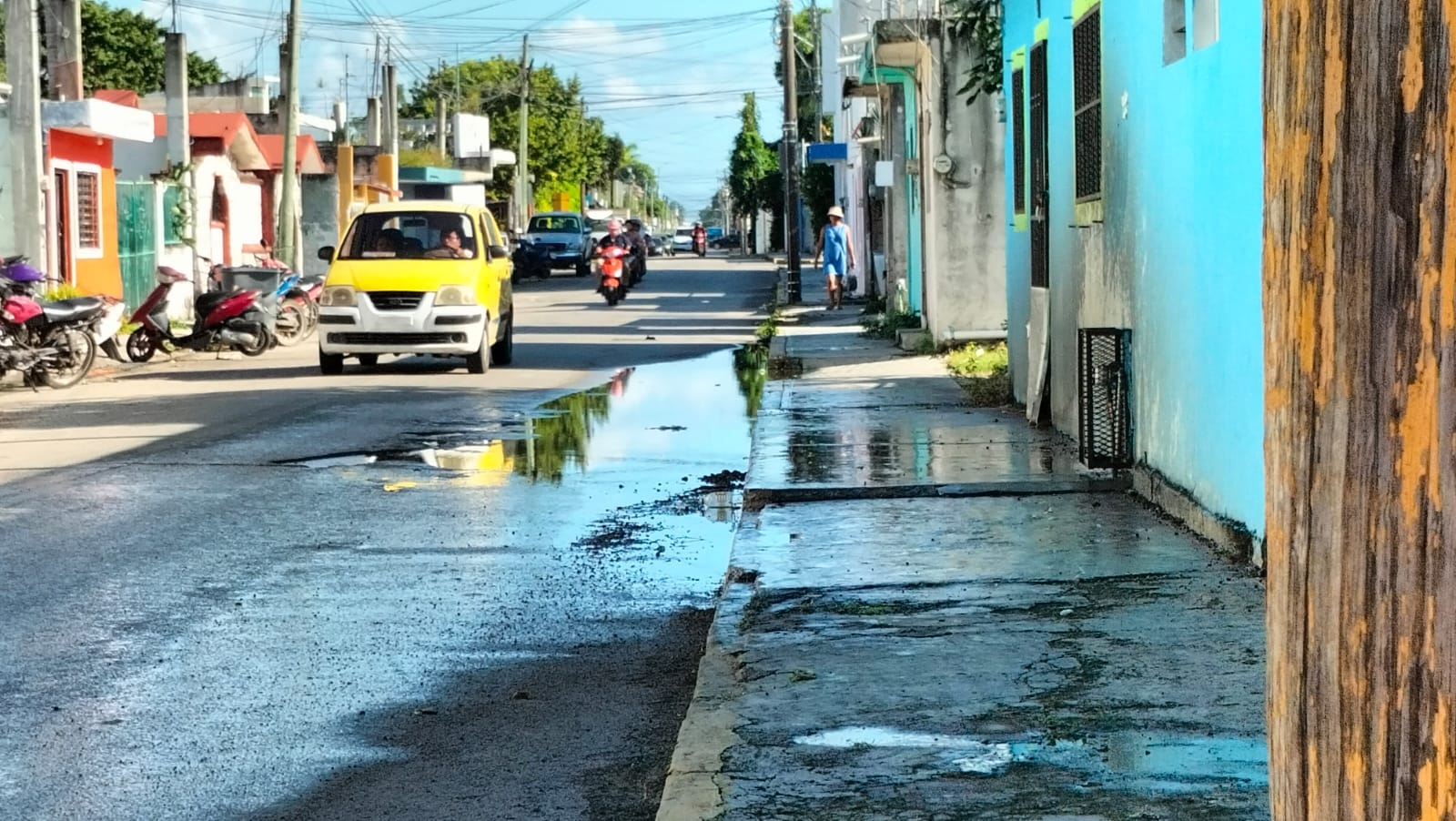 Afectados indican que desde que surgió el problema lo han reportado y ninguna autoridad responde; acusan que ya comienzan a padecer problemas de salud. Afectados indican que desde que surgió el problema lo han reportado y ninguna autoridad responde; acusan que ya comienzan a padecer problemas de salud.