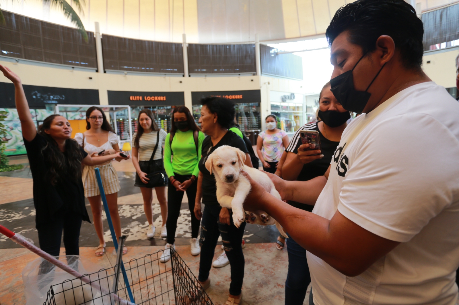 El programa seguirá abierto hasta abril del 2024 y permitirá vigilar que los dueños cumplan sus obligaciones con sus animales El programa seguirá abierto hasta abril del 2024 y permitirá vigilar que los dueños cumplan sus obligaciones con sus animales