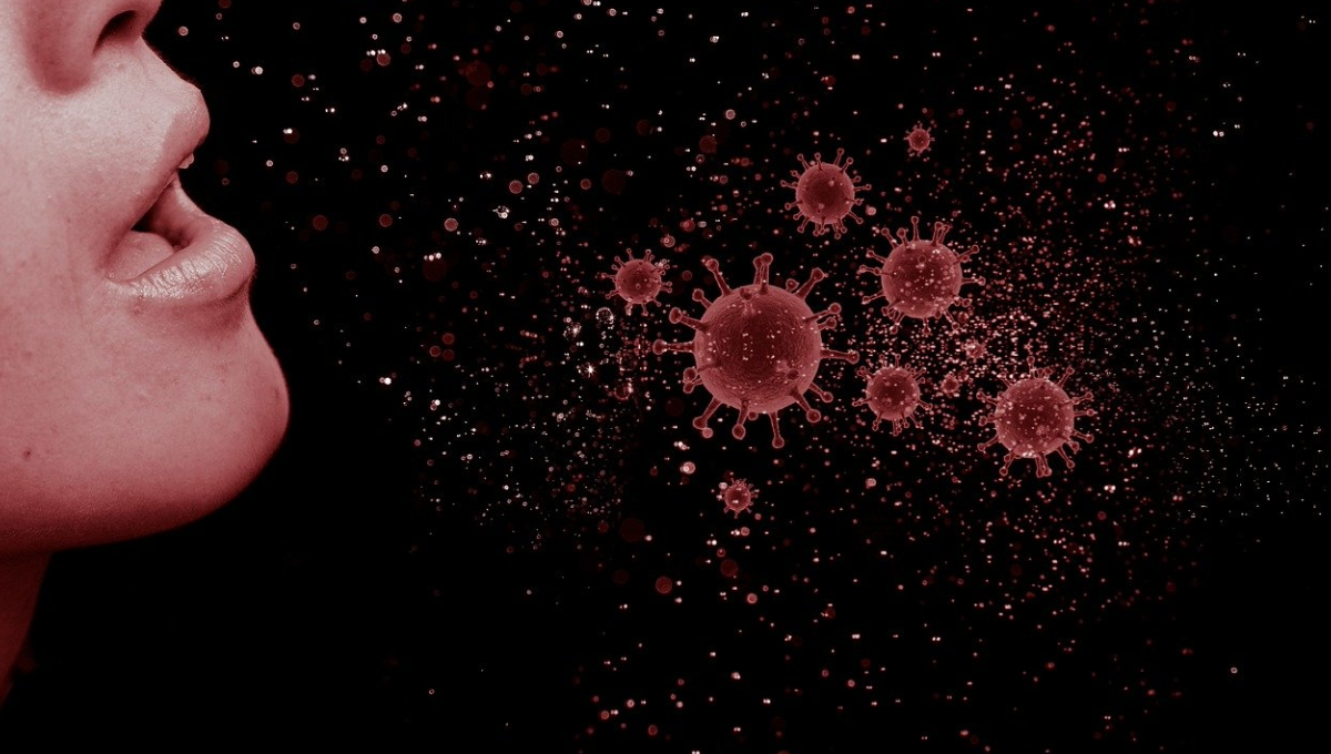 Nuevo virus HMPV: ¿Puede haber una pandemia de metapneumovirus como la del Covid-19?