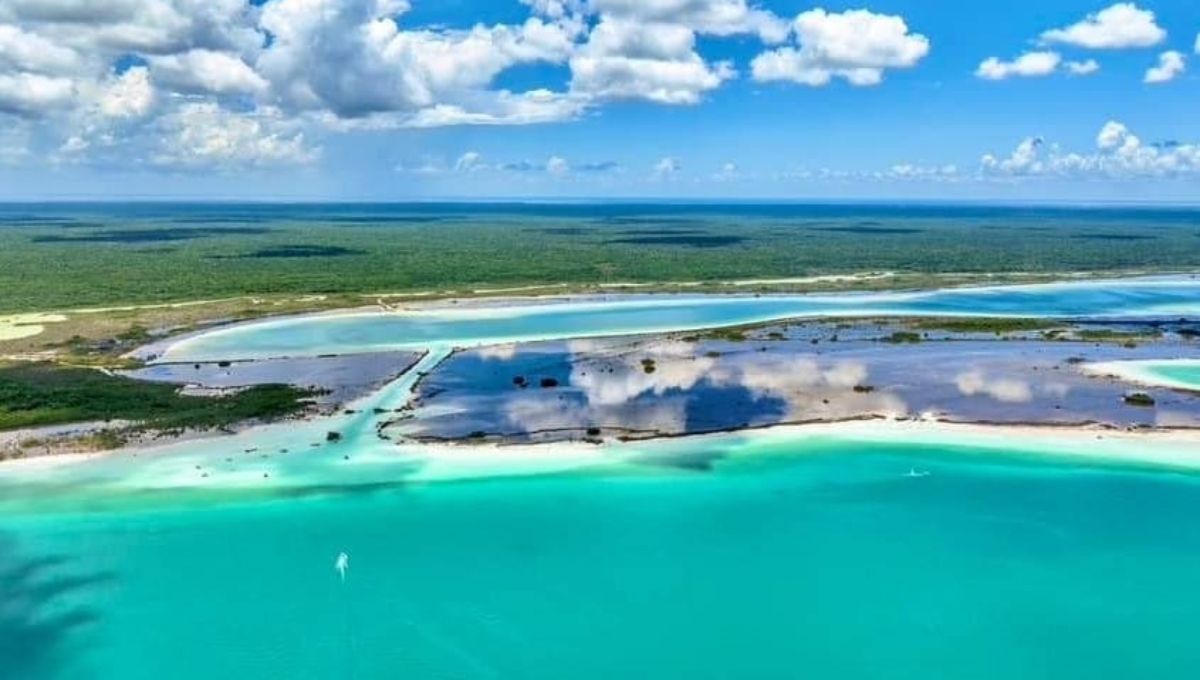 La investigadora expuso que nuevamente, pseudoecologistas buscan Hábitat Crítico para Bacalar