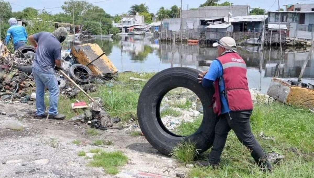 El comercio de títulos falsos en Ciudad del Carmen se ha vuelto incontrolable