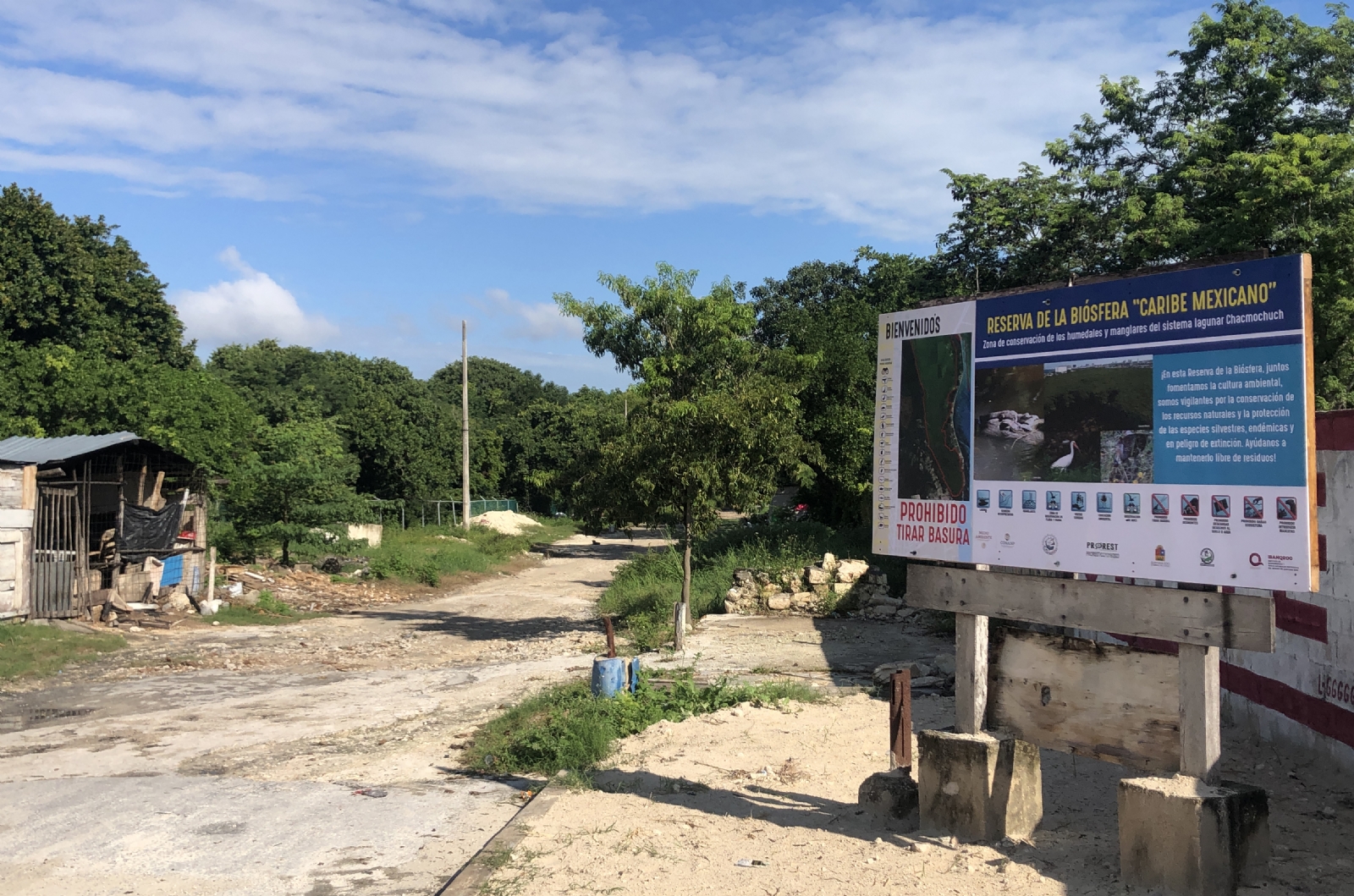 La Reserva de la Biósfera Caribe Mexicano está en riesgo por montañas de basura y vías Intransitables

