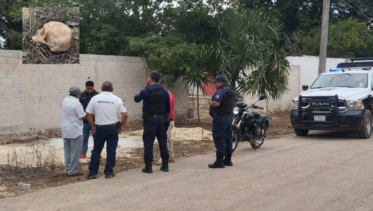 El hallazgo se reportó a la 9:30 de la mañana en la calle Lázaro Cárdenas, entre José María Morelos El hallazgo se reportó a la 9:30 de la mañana en la calle Lázaro Cárdenas, entre José María Morelos