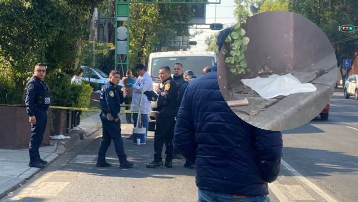 El feto fue hallado al pie de una jardinera El feto fue hallado al pie de una jardinera