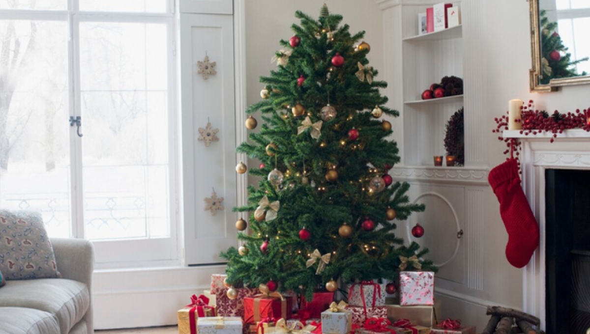 Cada familia decide en qué momento poner su árbol de Navidad Cada familia decide en qué momento poner su árbol de Navidad