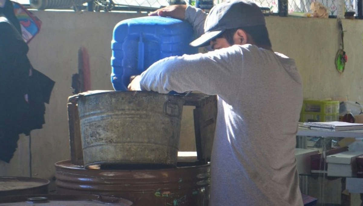 Apicultores señalan que esto ya repercute a nivel peninsular, en la confianza de los compradores que exportan el producto. Apicultores señalan que esto ya repercute a nivel peninsular, en la confianza de los compradores que exportan el producto.