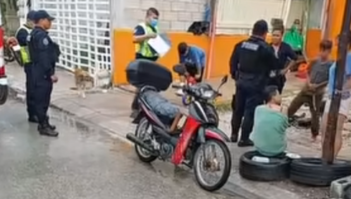 Para sorpresa de los policías, el propietario del animal no quiso hacerse responsable.