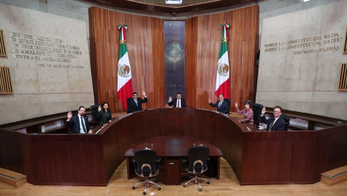 El Magistrado del TEPJF, Felipe de la Mata, propuso revocar el acuerdo del INE que ordena a los partidos políticos postular a mujeres en 5 de las 9 gubernaturas en juego El Magistrado del TEPJF, Felipe de la Mata, propuso revocar el acuerdo del INE que ordena a los partidos políticos postular a mujeres en 5 de las 9 gubernaturas en juego