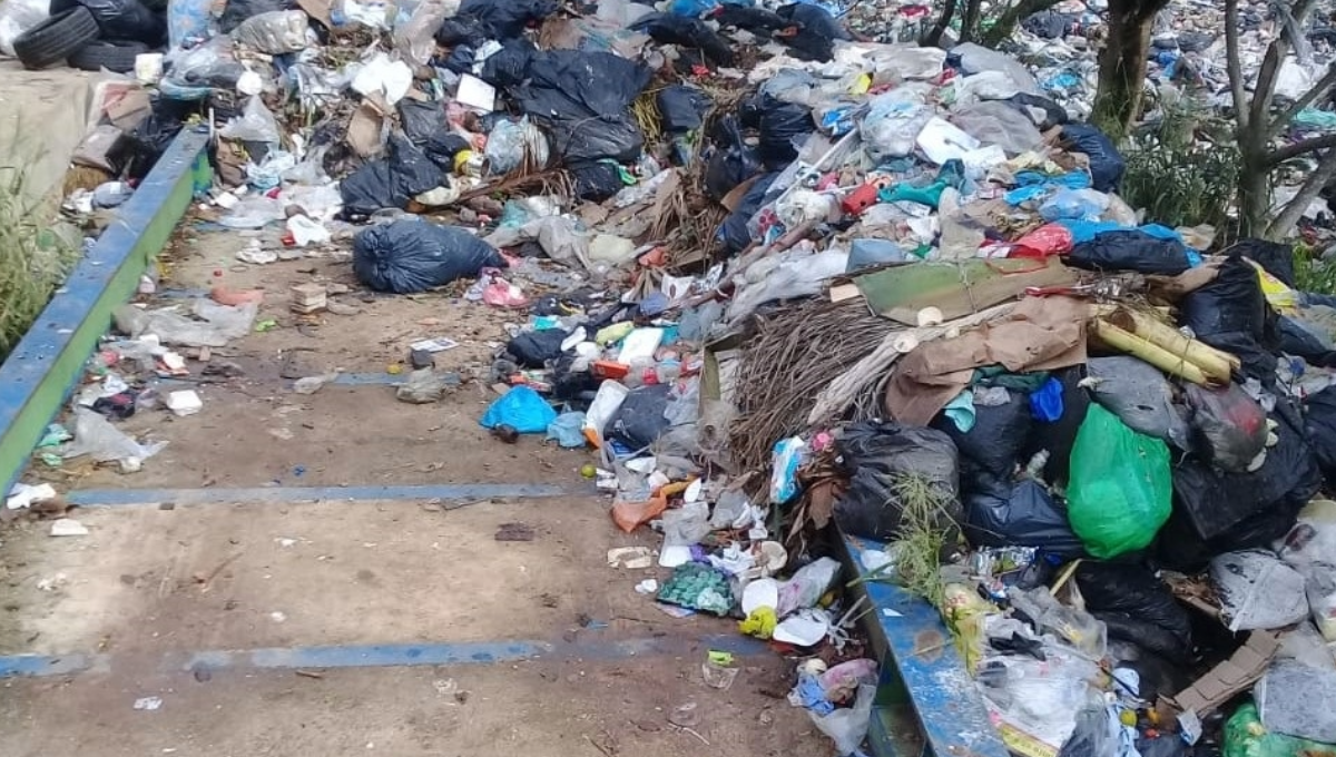 Rojas indicó que, de no realizarse pronto un saneamiento y organización de desechos en el relleno sanitario, los restos seguirán perjudicando al medio ambiente