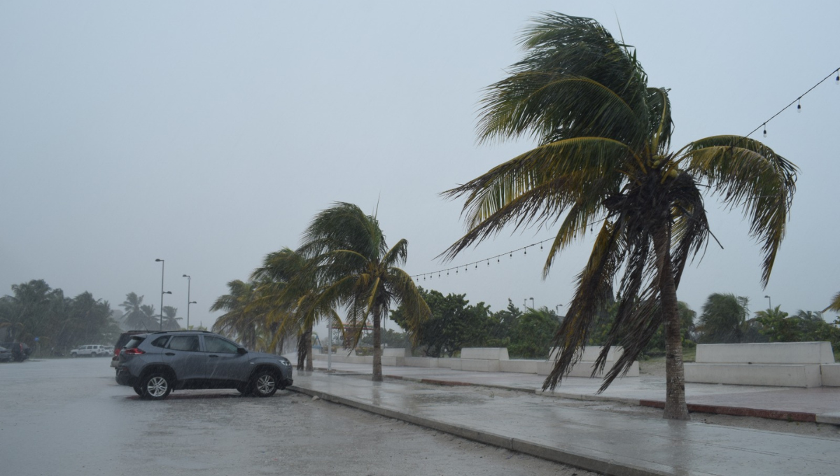 El Frente Frío 16 estará ocasionando lluvias en las próximas horas El Frente Frío 16 estará ocasionando lluvias en las próximas horas