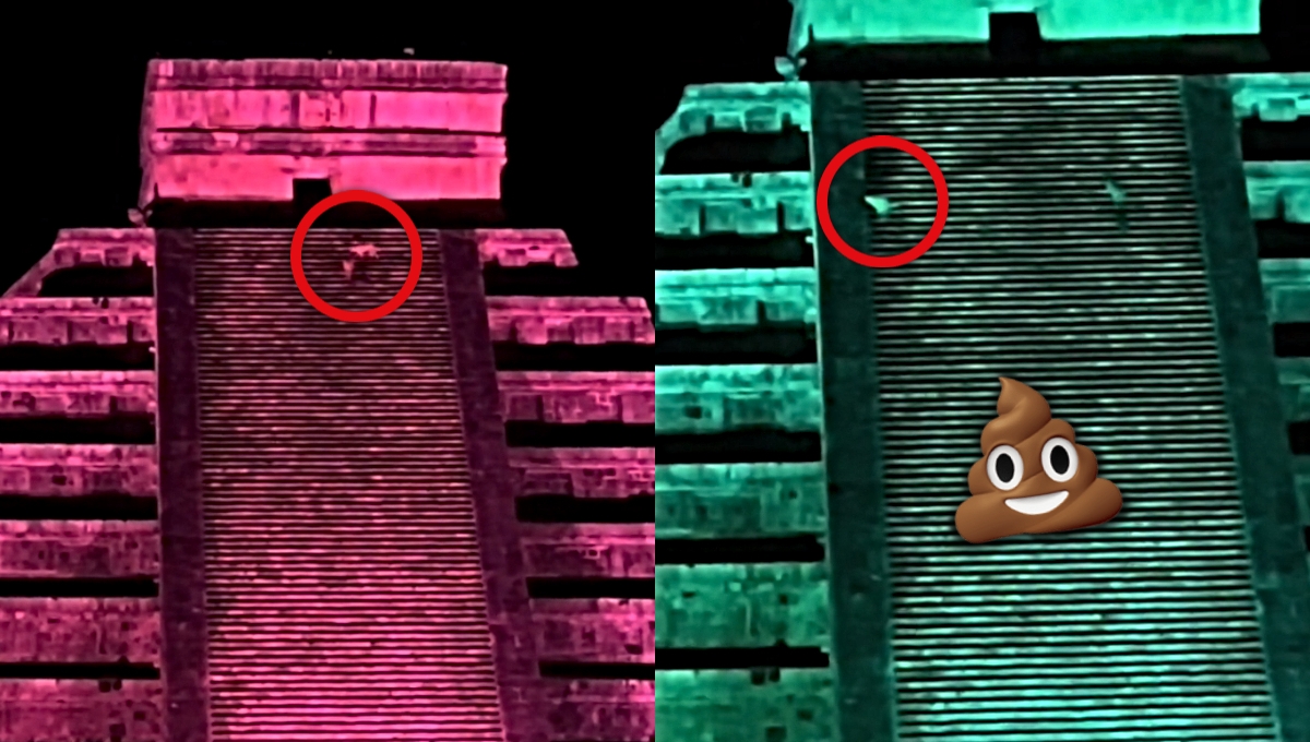 Perro le deja 'un regalito' a Kukulcán en la pirámide de Chichén Itzá: VIDEO